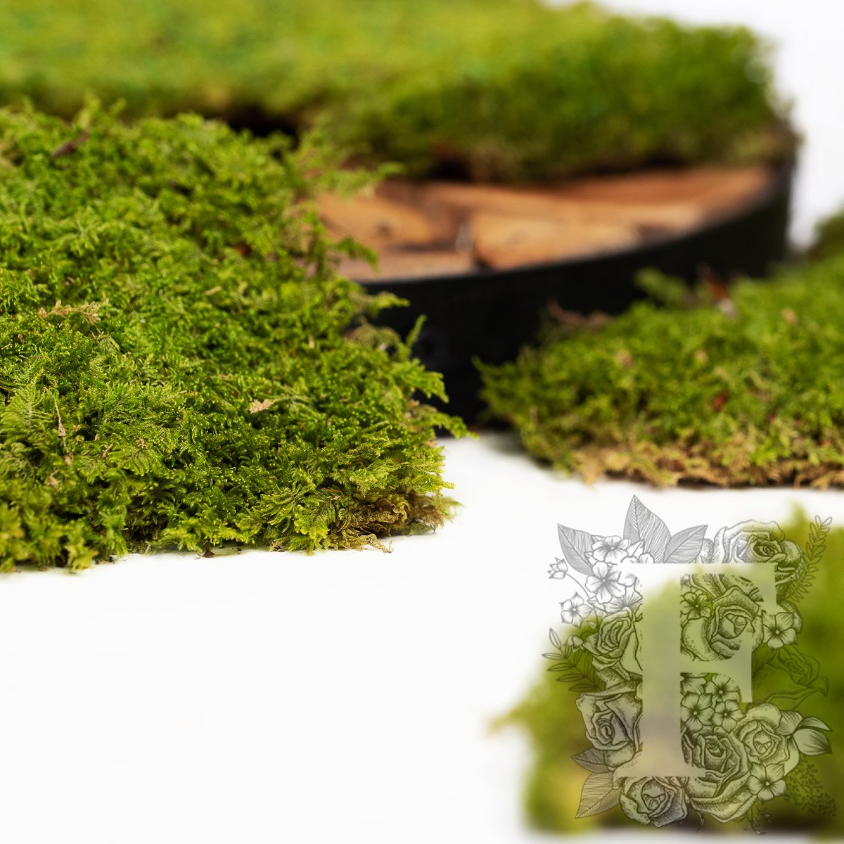 Classic Flat Moss 3