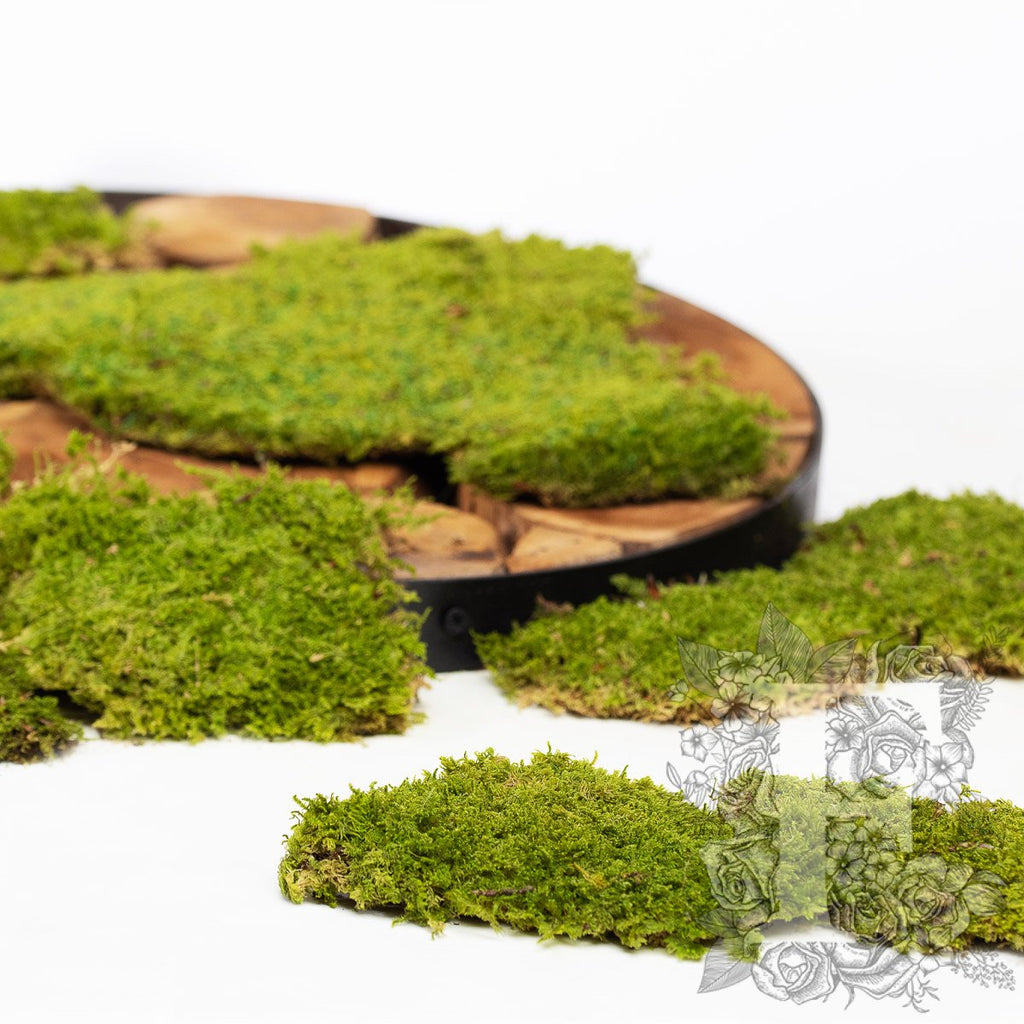 Classic Flat Moss 1