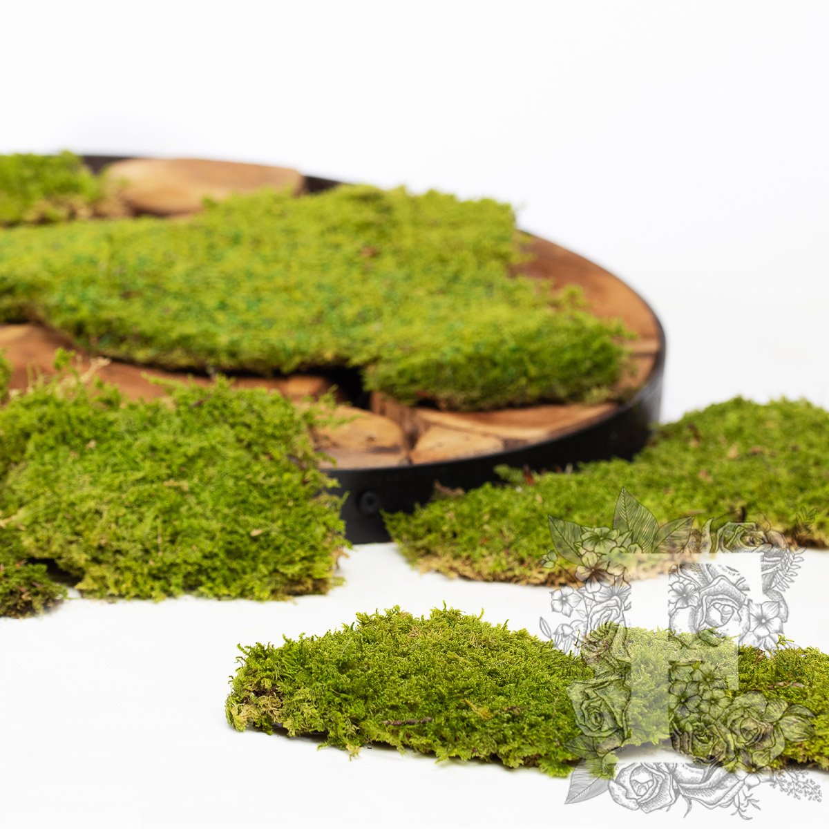Classic Flat Moss 1