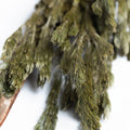 283 055 Endura_29-07-20-109