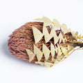 Banksia Baxteri - Exclusive - Stem