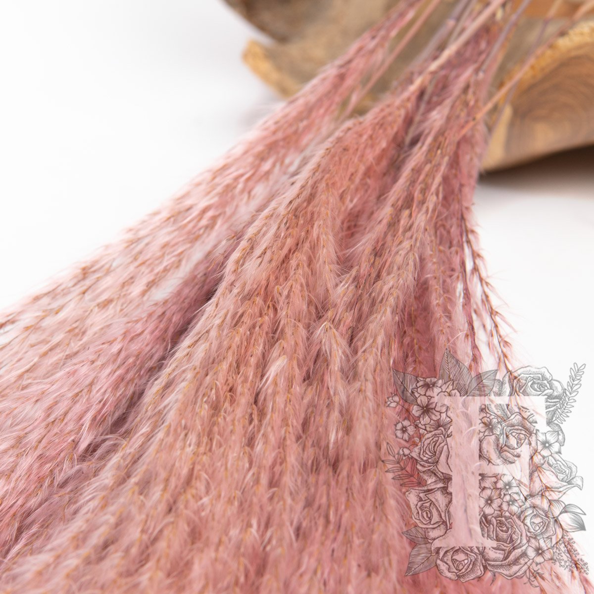 Stipa Pink 2