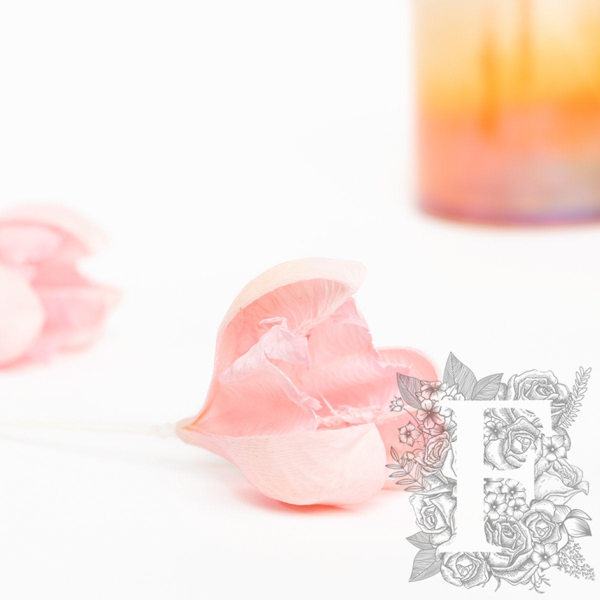Tefe Rose - 5 Stems