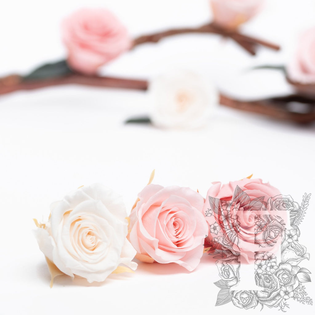 Rose Kanon - Medium - 9 Heads
