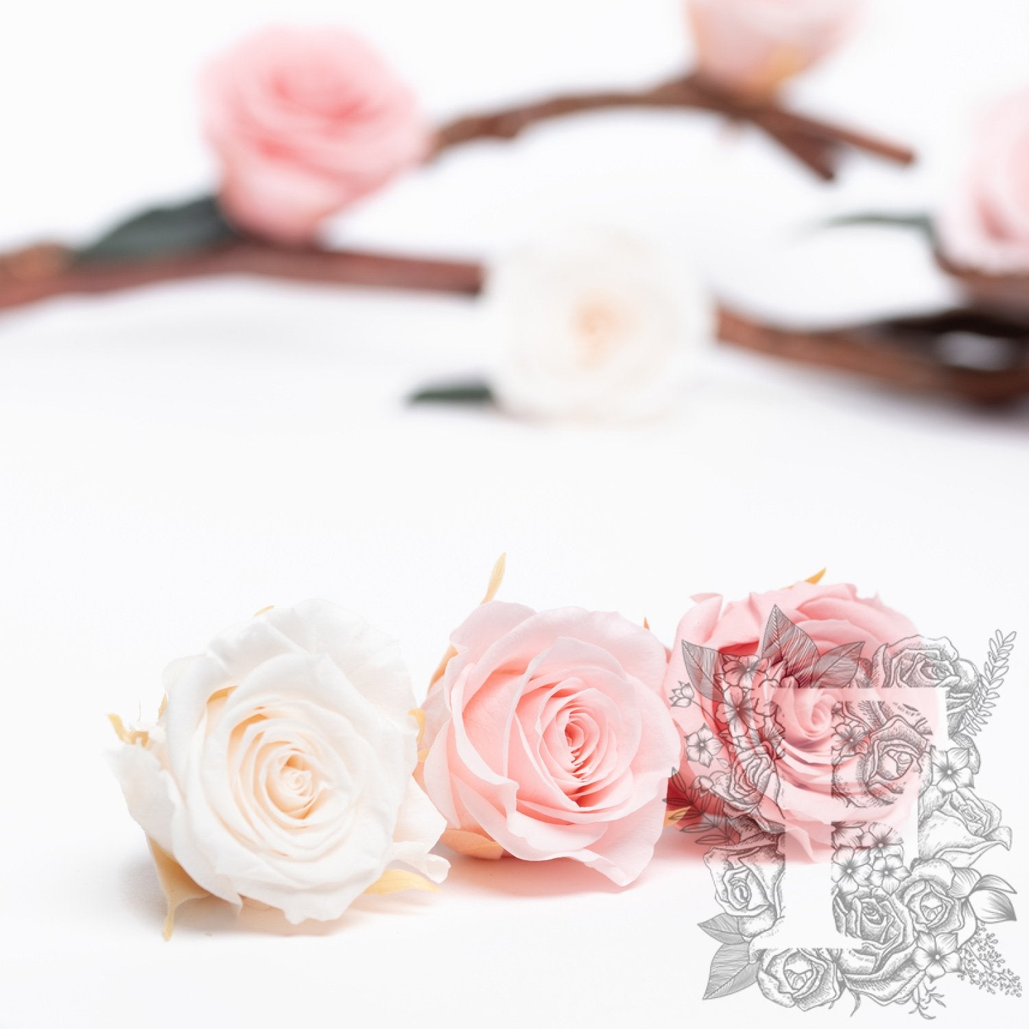Rose Kanon - Medium - 9 Heads