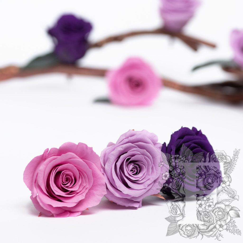 Rose Kanon - Medium - 9 Heads