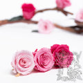 Rose Kanon - Medium - 9 Heads
