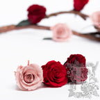 Rose Kanon - Medium - 9 Heads