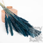Mini Pampas Blue 1