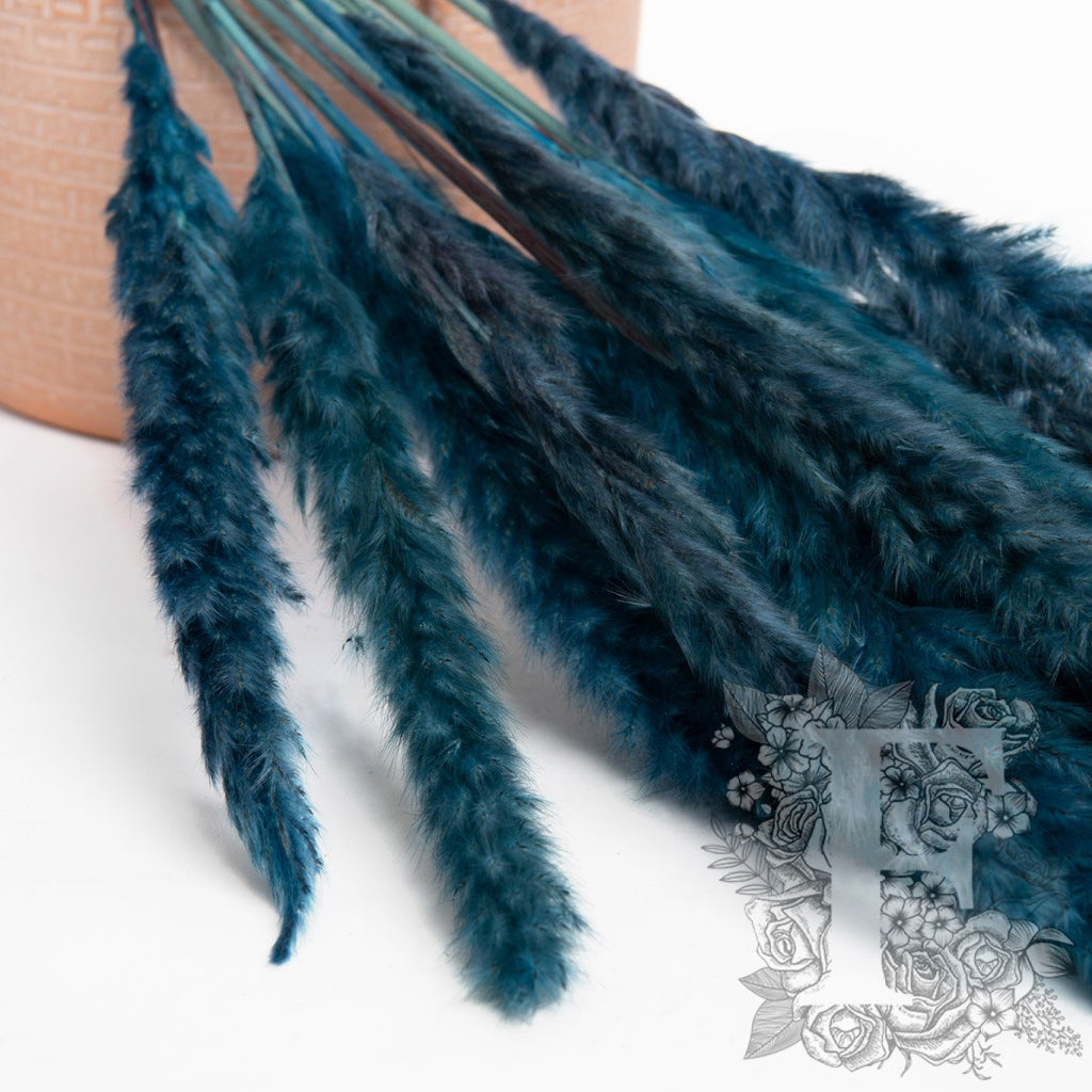 Mini Pampas Blue 2