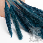 Mini Pampas Blue 2