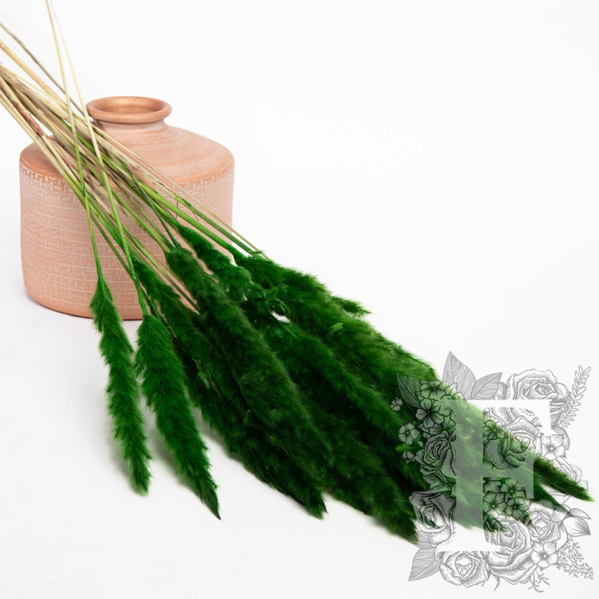 Pampas - Mini - Bunch