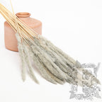 Pampas - Mini - Bunch