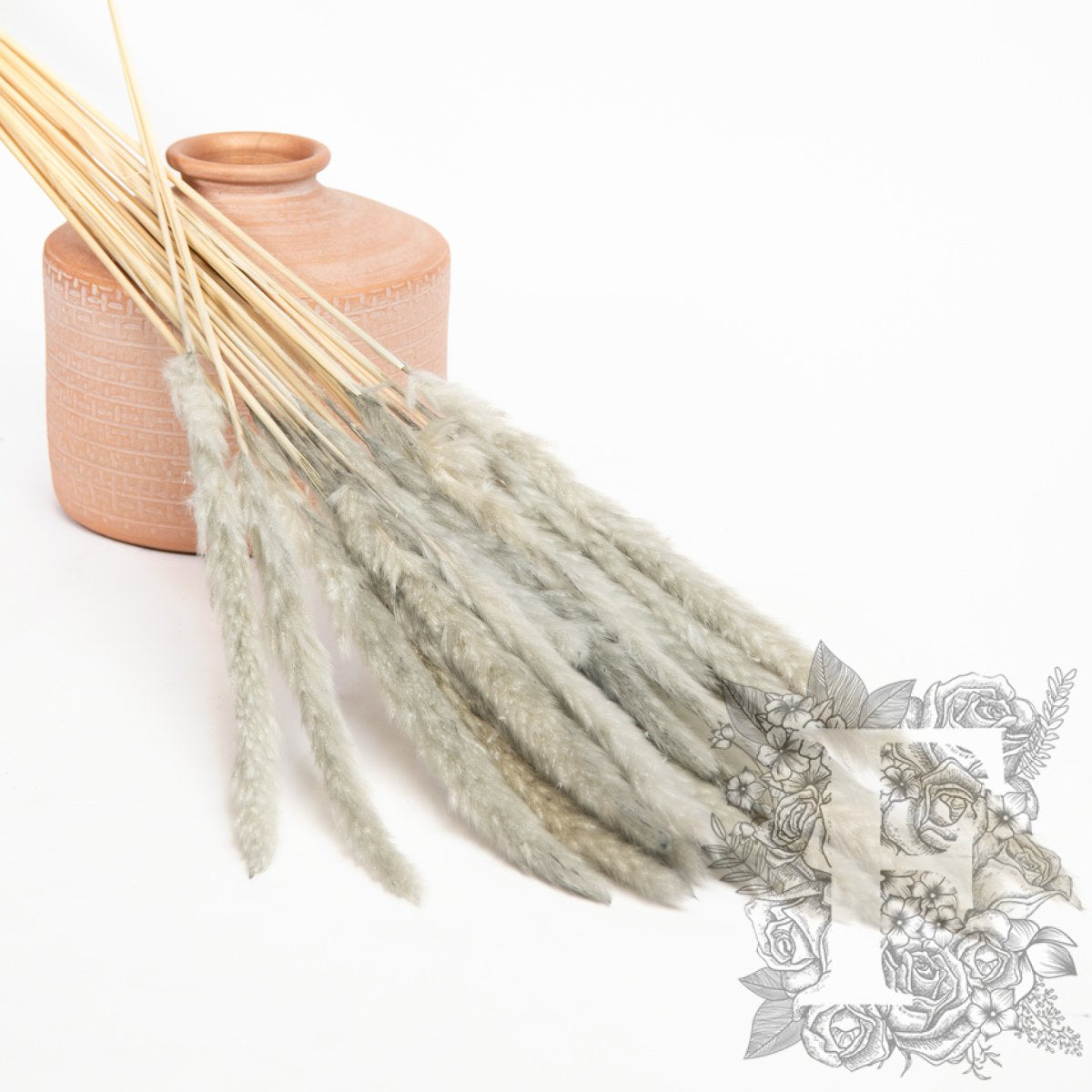 Pampas - Mini - Bunch