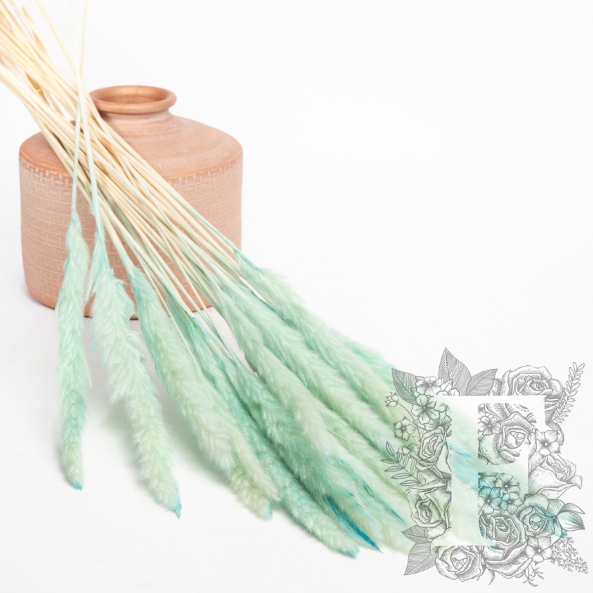 Pampas - Mini - Bunch