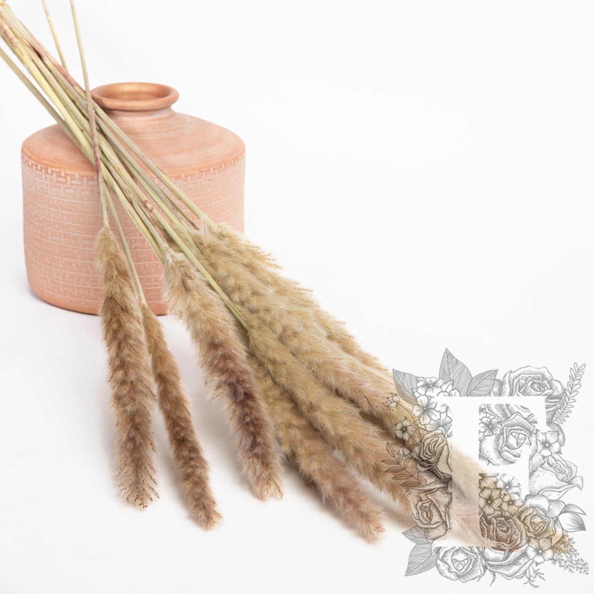 Pampas - Mini - Bunch