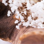 Gypsophillia Over Time - Box