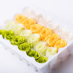 Vivian Colour Gradiation - 24 Heads