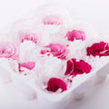 Rose Kanon - Gradation - 9 Heads