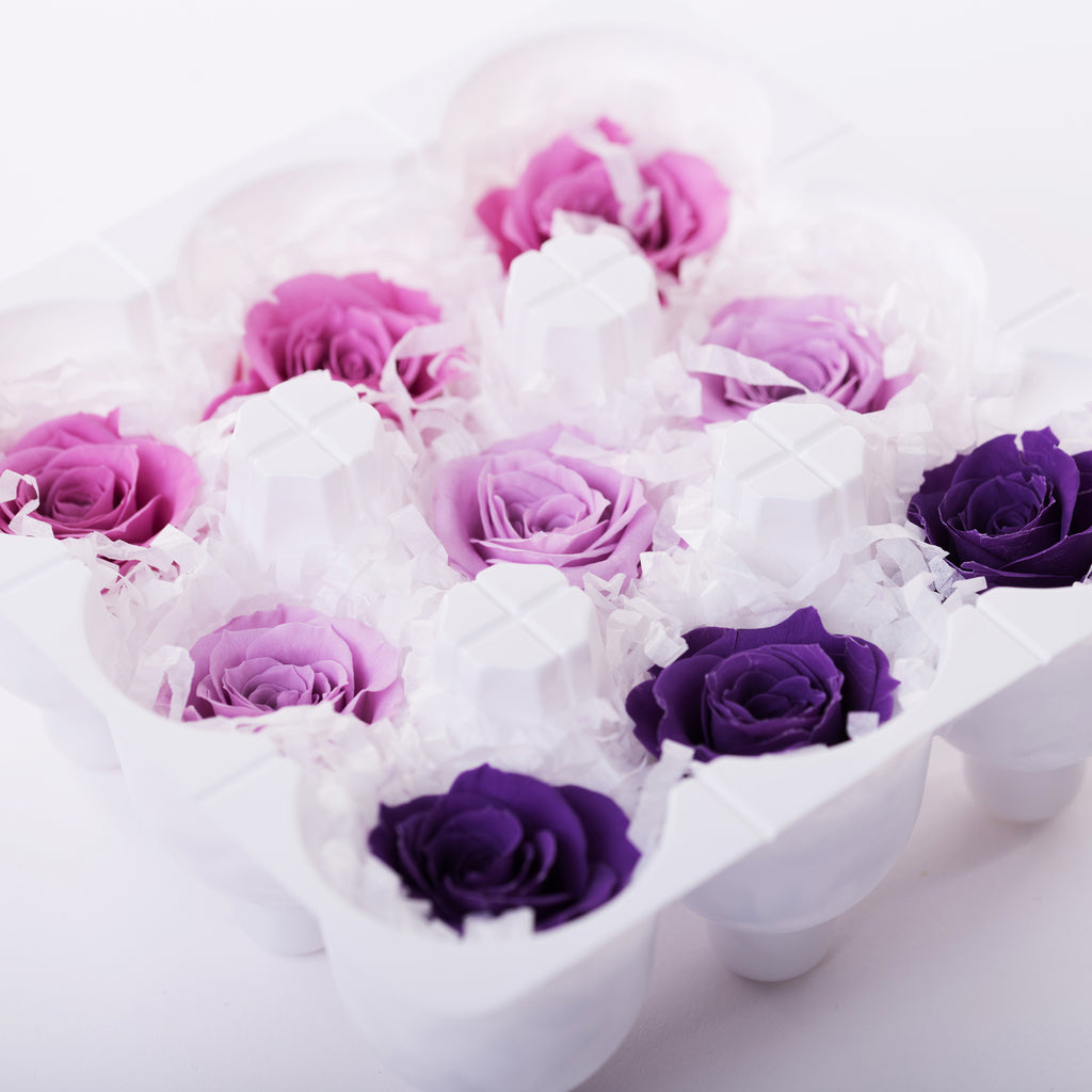 Rose Kanon - Gradation - 9 Heads