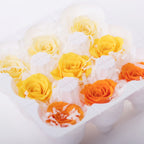 Rose Kanon - Gradation - 9 Heads