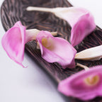 Calla Lilly