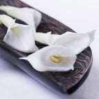 Calla Lilly