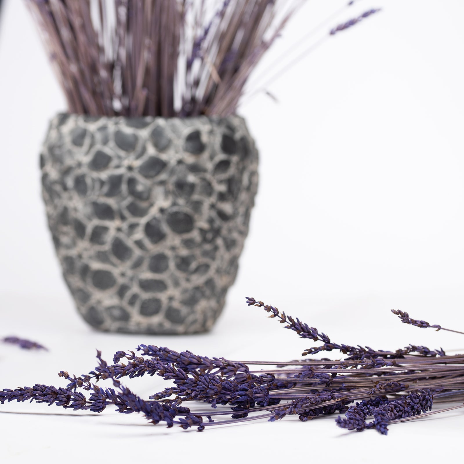 Lavender (3)
