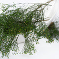 209 057 Endura_29-07-20-489