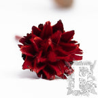 Plumosum - 5 stems - Natural
