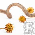 Plumosum Yellow 2