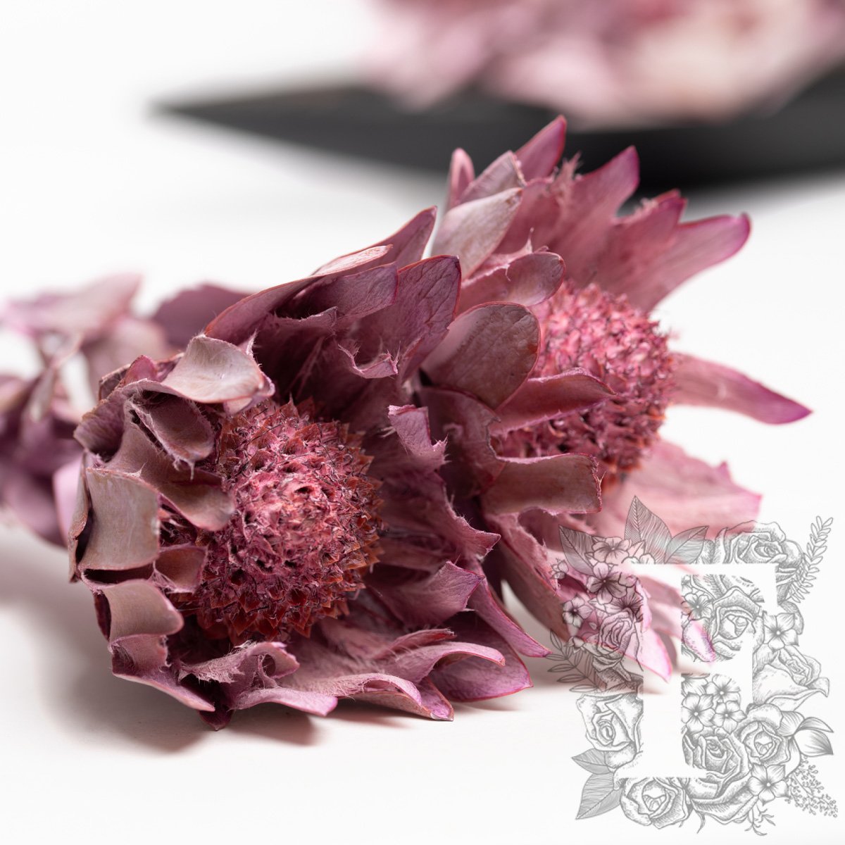 Nervosum Frosted Pink 1