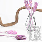 Compacta Bud - 3 Stems