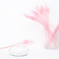 Peacock Feather - Pack of 5