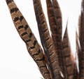 030 Endura_25-08-20-075