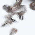 042 Endura_25-08-20-100