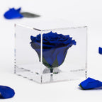 Gift Box - Acrylic - Large