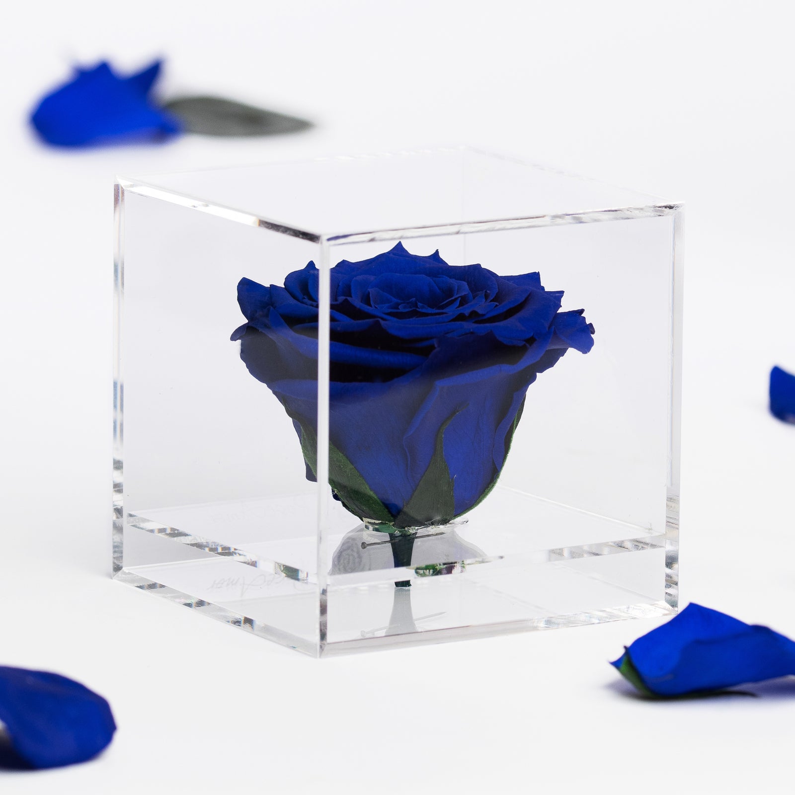 Gift Box - Acrylic - Large