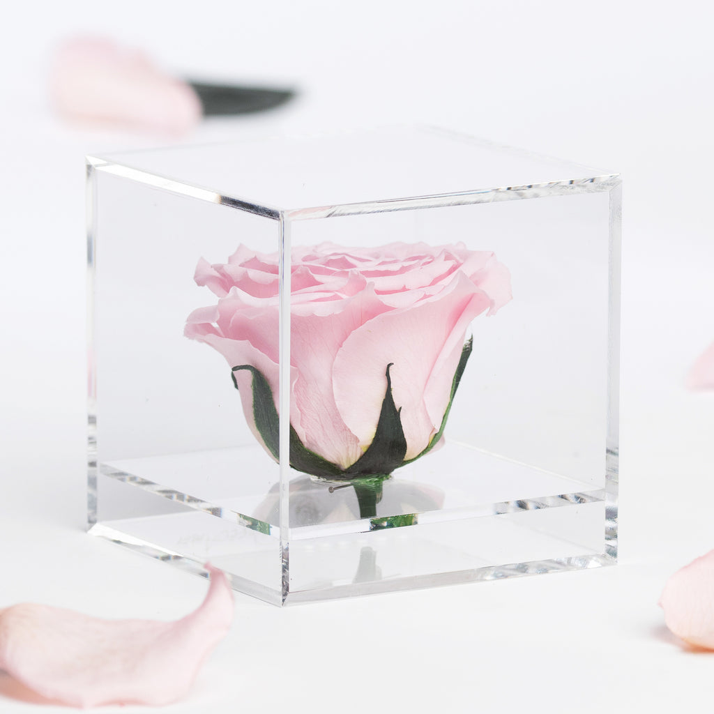 Gift Box - Acrylic - Large
