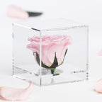 Gift Box - Acrylic - Large