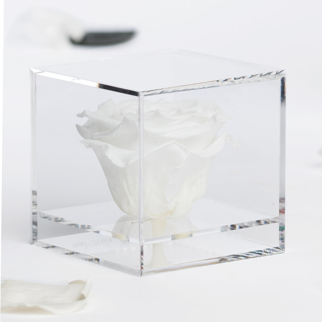 Gift Box - Acrylic - Large