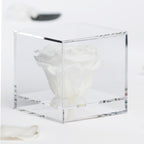 Gift Box - Acrylic - Large