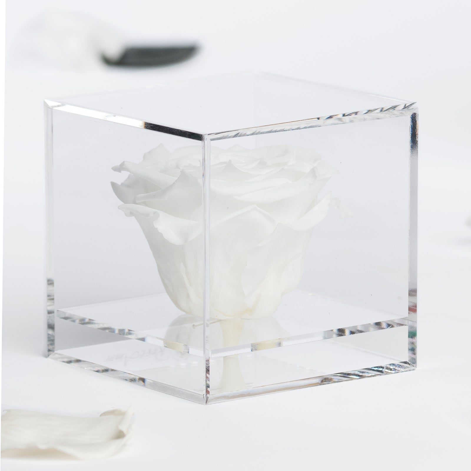 Gift Box - Acrylic - Large