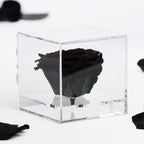 Gift Box - Acrylic - Large