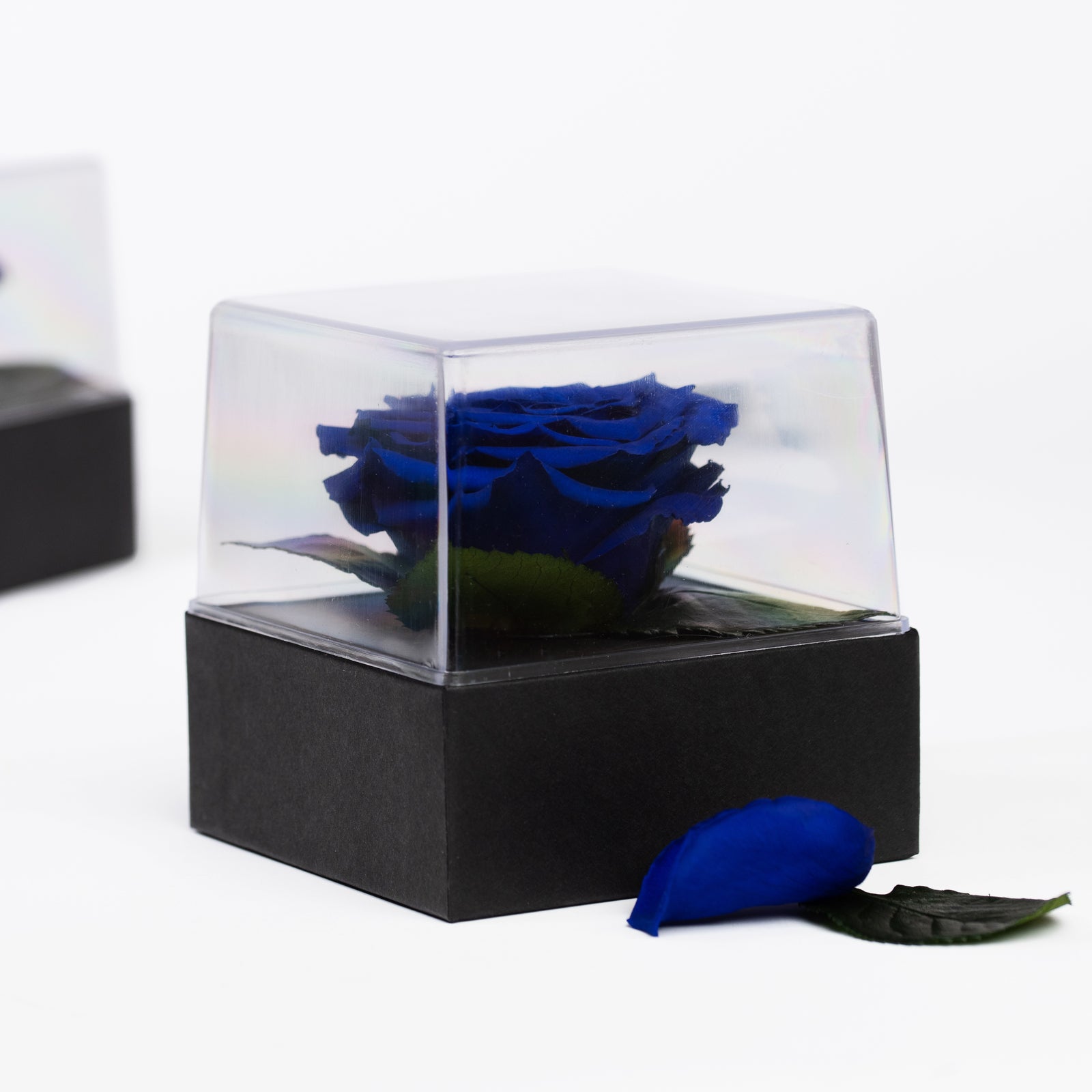 Gift Box Classic
