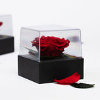 Gift Box Classic
