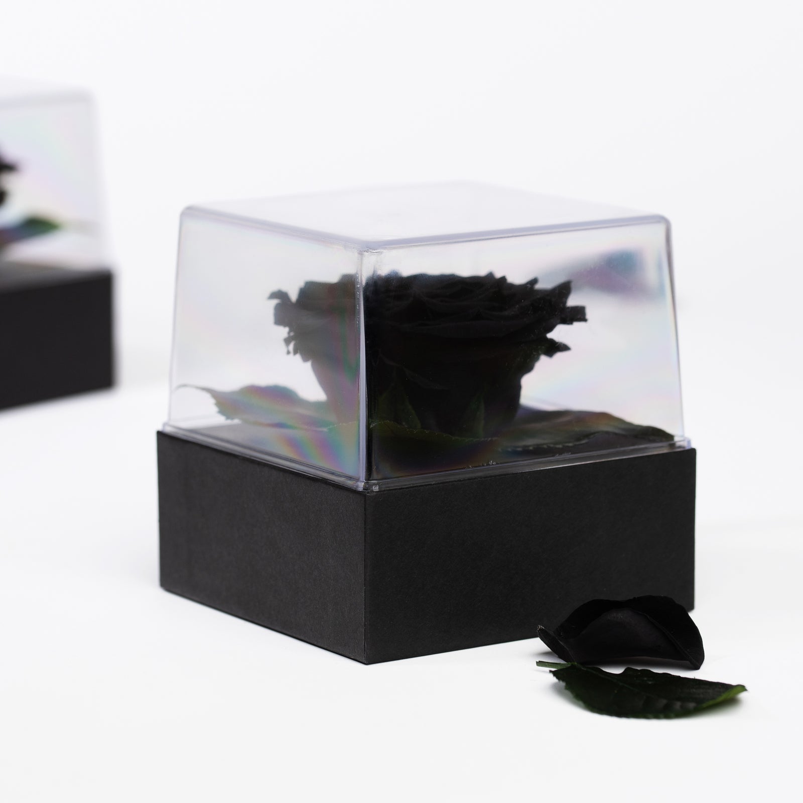 Gift Box Classic