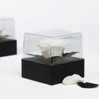 Gift Box Classic