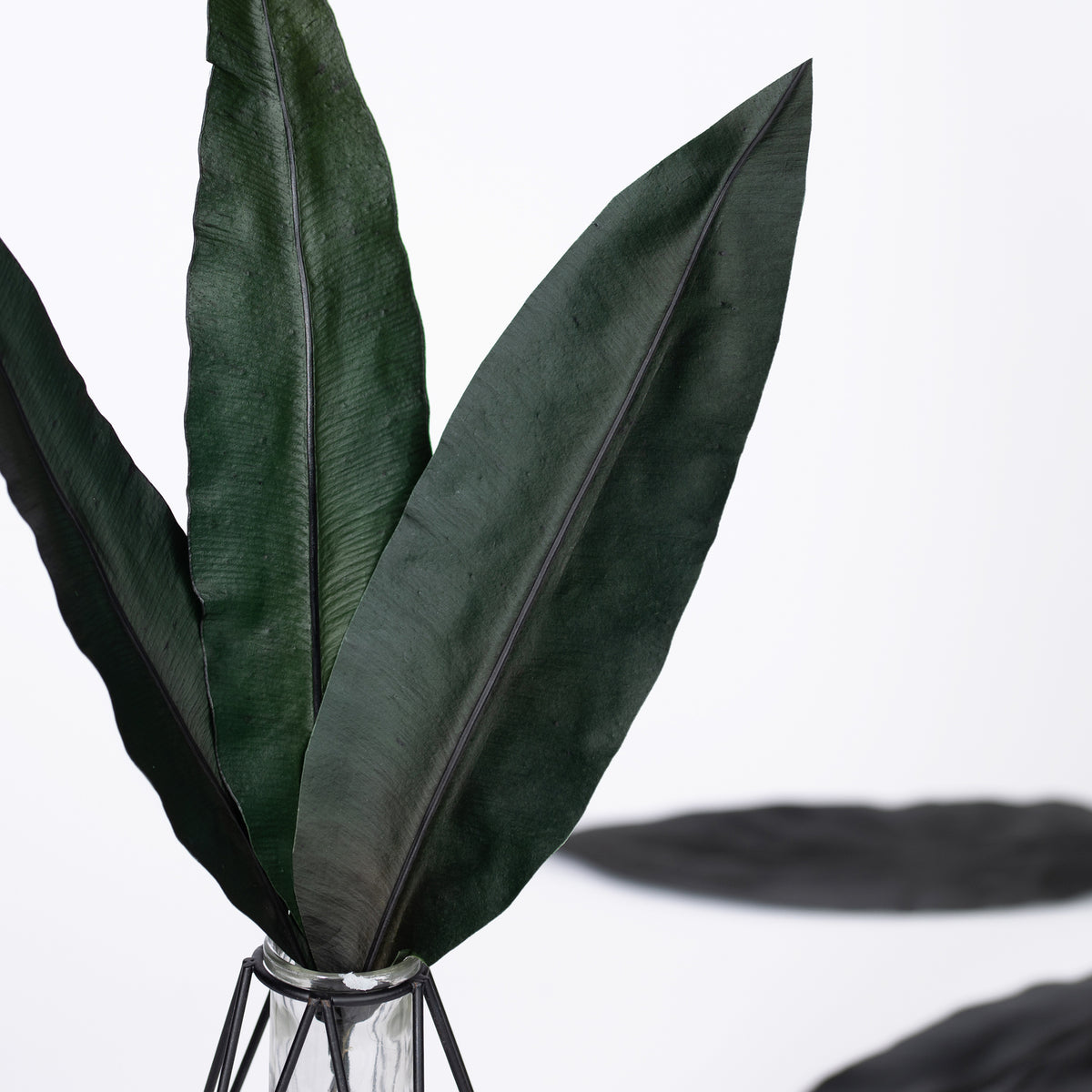 Tropical Leaf - 10 Stems