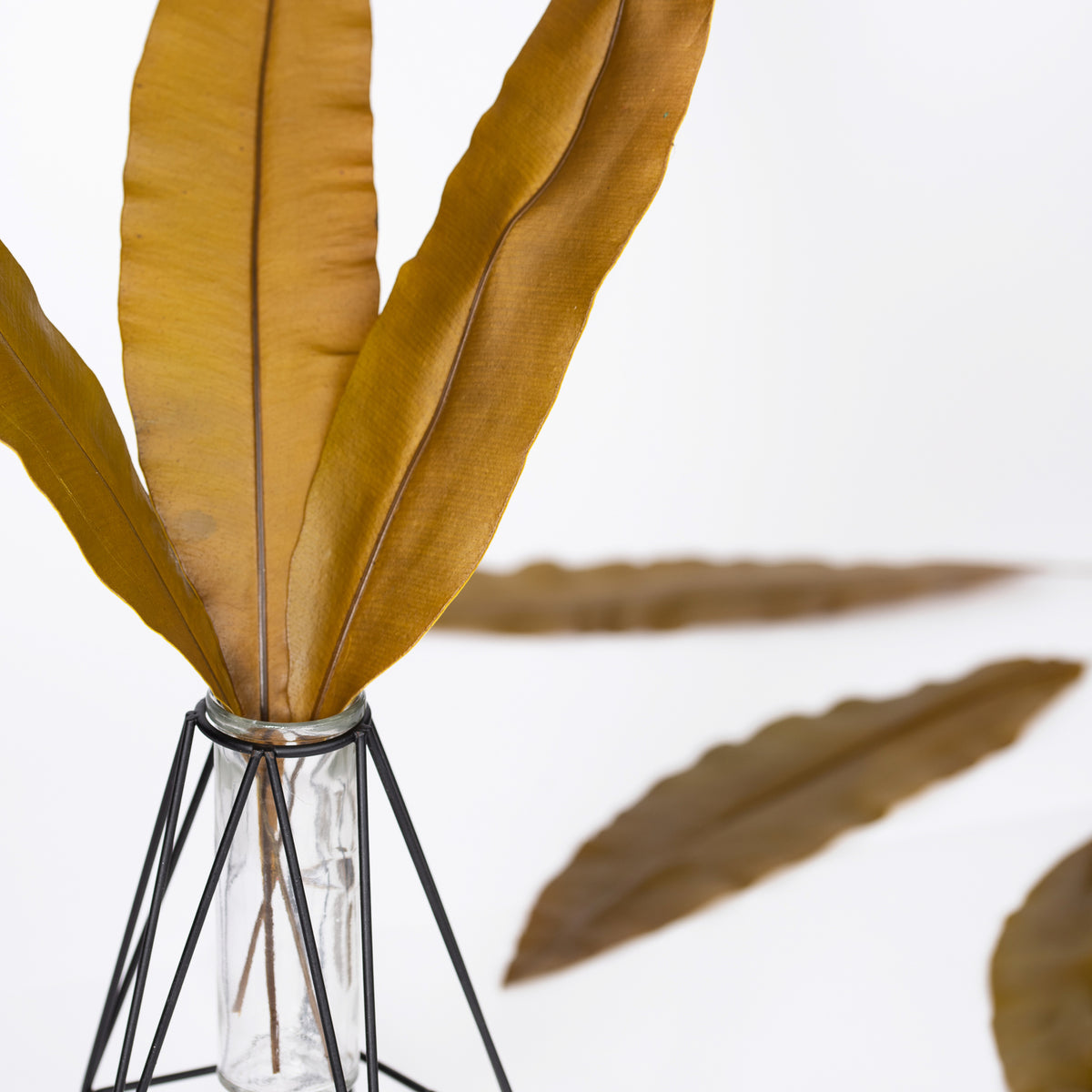 Tropical Leaf - 10 Stems